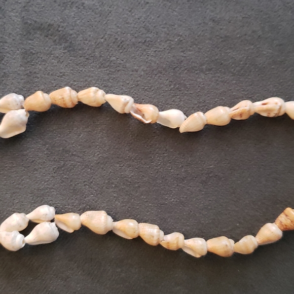 Shell necklace - Picture 3 of 3